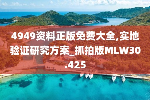 初告白 第35页