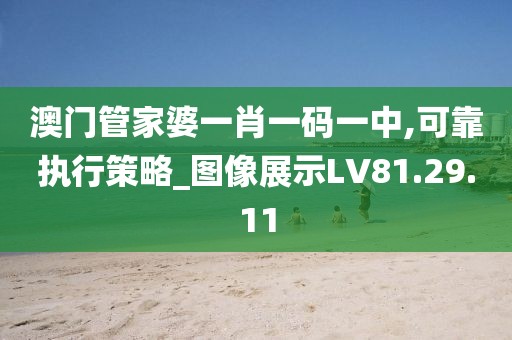 澳门管家婆一肖一码一中,可靠执行策略_图像展示LV81.29.11
