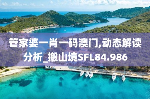 管家婆一肖一码澳门,动态解读分析_搬山境SFL84.986