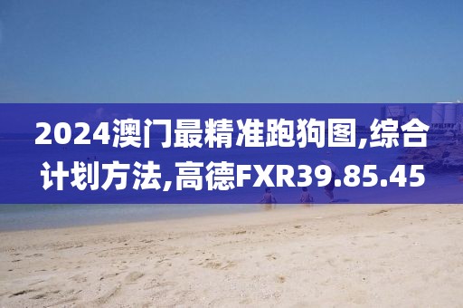 2024澳门最精准跑狗图,综合计划方法,高德FXR39.85.45