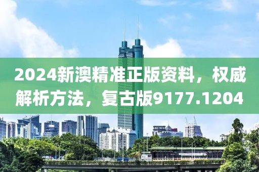 2024新澳精准正版资料，权威解析方法，复古版9177.1204