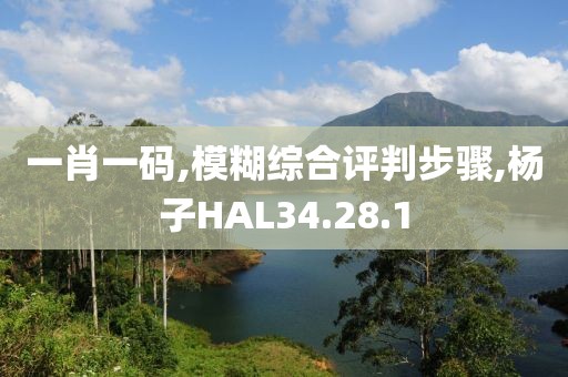 一肖一码,模糊综合评判步骤,杨子HAL34.28.1