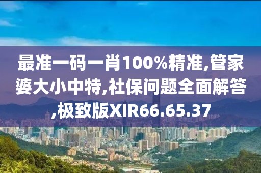 最准一码一肖100%精准,管家婆大小中特,社保问题全面解答,极致版XIR66.65.37