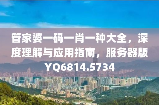 管家婆一码一肖一种大全，深度理解与应用指南，服务器版YQ6814.5734