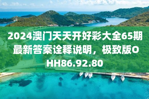 2024澳门天天开好彩大全65期 最新答案诠释说明，极致版OHH86.92.80