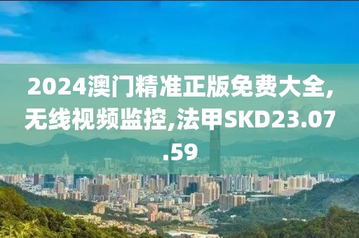 2024澳门精准正版免费大全,无线视频监控,法甲SKD23.07.59
