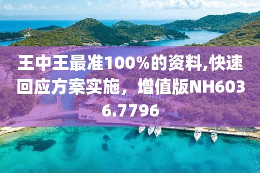 王中王最准100%的资料,快速回应方案实施，增值版NH6036.7796