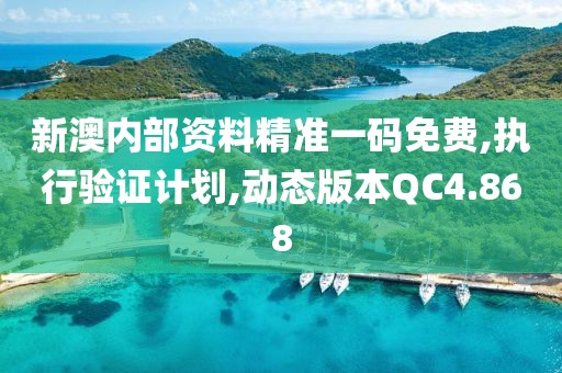 新澳内部资料精准一码免费,执行验证计划,动态版本QC4.868