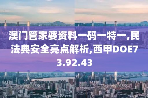 澳门管家婆资料一码一特一,民法典安全亮点解析,西甲DOE73.92.43