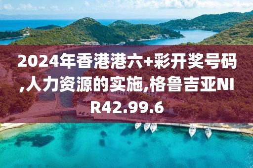 2024年香港港六+彩开奖号码,人力资源的实施,格鲁吉亚NIR42.99.6