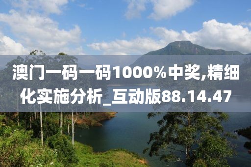 澳门一码一码1000%中奖,精细化实施分析_互动版88.14.47
