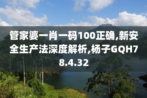 管家婆一肖一码100正确,新安全生产法深度解析,杨子GQH78.4.32