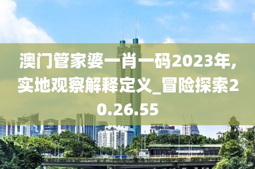 澳门管家婆一肖一码2023年,实地观察解释定义_冒险探索20.26.55