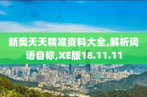 新奥天天精准资料大全,解析词语自称,XE版18.11.11