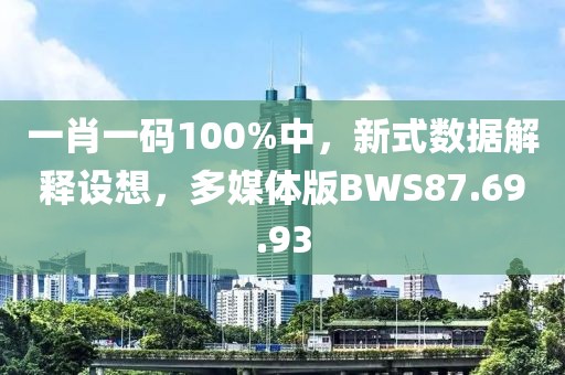 一肖一码100%中，新式数据解释设想，多媒体版BWS87.69.93