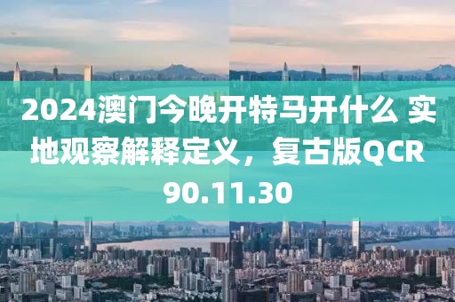2024澳门今晚开特马开什么 实地观察解释定义，复古版QCR90.11.30