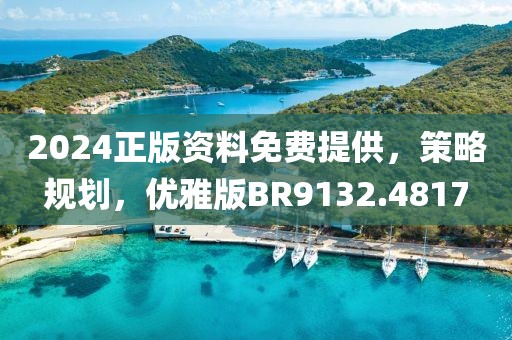 2024正版资料免费提供，策略规划，优雅版BR9132.4817