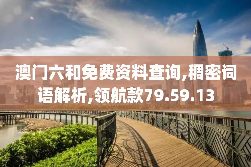 澳门六和免费资料查询,稠密词语解析,领航款79.59.13