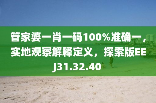 管家婆一肖一码100%准确一，实地观察解释定义，探索版EEJ31.32.40