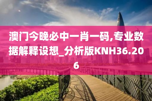 澳门今晚必中一肖一码,专业数据解释设想_分析版KNH36.206