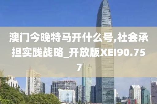 澳门今晚特马开什么号,社会承担实践战略_开放版XEI90.757
