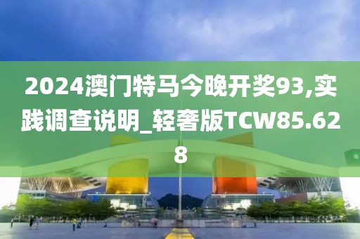 2024澳门特马今晚开奖93,实践调查说明_轻奢版TCW85.628