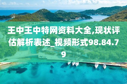 王中王中特网资料大全,现状评估解析表述_视频形式98.84.79