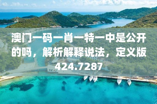 澳门一码一肖一特一中是公开的吗，解析解释说法，定义版424.7287