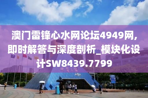 澳门雷锋心水网论坛4949网,即时解答与深度剖析_模块化设计SW8439.7799
