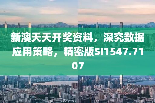 新澳天天开奖资料，深究数据应用策略，精密版SI1547.7107