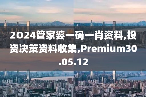 2O24管家婆一码一肖资料,投资决策资料收集,Premium30.05.12