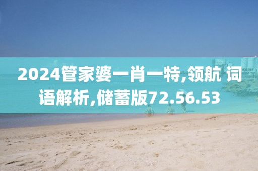2024管家婆一肖一特,领航 词语解析,储蓄版72.56.53