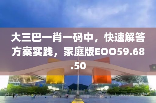 大三巴一肖一码中，快速解答方案实践，家庭版EOO59.68.50