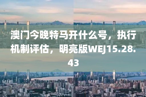 澳门今晚特马开什么号，执行机制评估，明亮版WEJ15.28.43