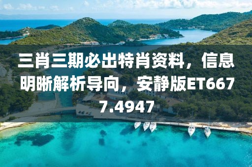 三肖三期必出特肖资料，信息明晰解析导向，安静版ET6677.4947