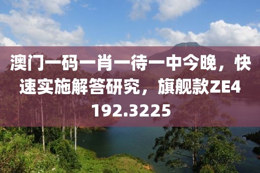 澳门一码一肖一待一中今晚，快速实施解答研究，旗舰款ZE4192.3225