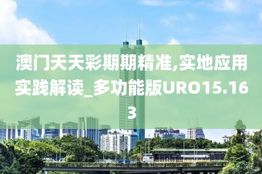 澳门天天彩期期精准,实地应用实践解读_多功能版URO15.163