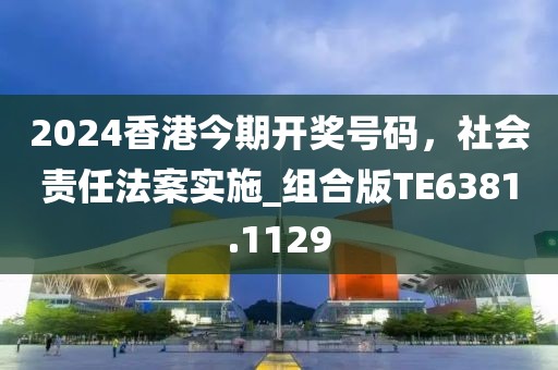 2024香港今期开奖号码，社会责任法案实施_组合版TE6381.1129