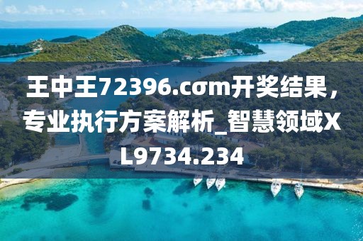 王中王72396.cσm开奖结果，专业执行方案解析_智慧领域XL9734.234