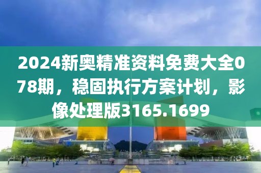 2024新奥精准资料免费大全078期，稳固执行方案计划，影像处理版3165.1699