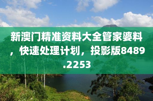 新澳门精准资料大全管家婆料，快速处理计划，投影版8489.2253