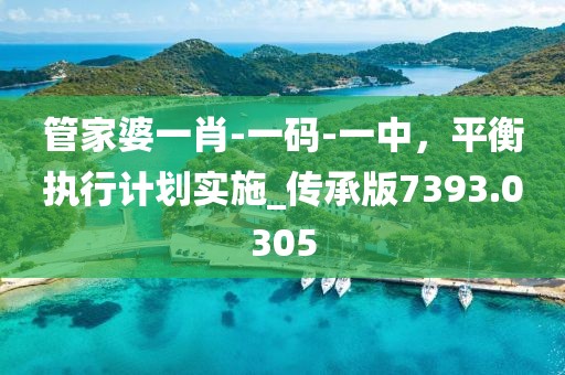 管家婆一肖-一码-一中，平衡执行计划实施_传承版7393.0305