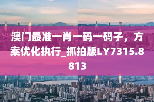 澳门最准一肖一码一码孑，方案优化执行_抓拍版LY7315.8813