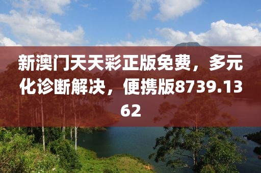 新澳门天天彩正版免费，多元化诊断解决，便携版8739.1362