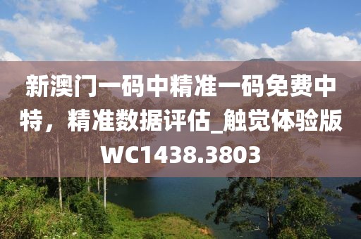 新澳门一码中精准一码免费中特，精准数据评估_触觉体验版WC1438.3803