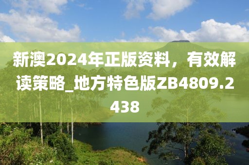 新澳2024年正版资料，有效解读策略_地方特色版ZB4809.2438