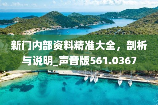 新门内部资料精准大全，剖析与说明_声音版561.0367