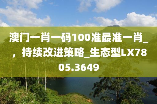澳门一肖一码100准最准一肖_，持续改进策略_生态型LX7805.3649