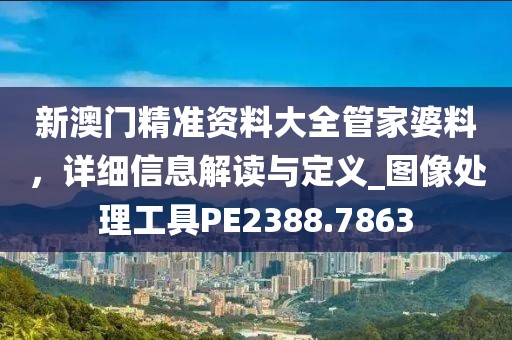 新澳门精准资料大全管家婆料，详细信息解读与定义_图像处理工具PE2388.7863