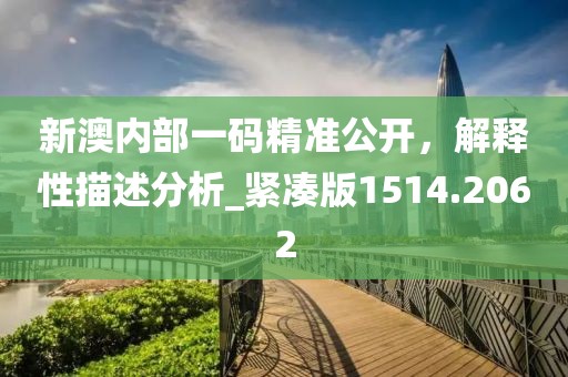新澳内部一码精准公开，解释性描述分析_紧凑版1514.2062